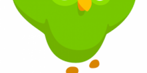 cropped-duolingo.png