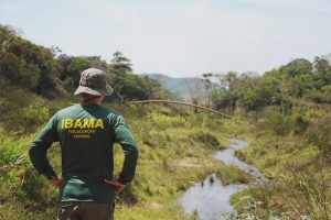 ibama funções fiscalização ambiental