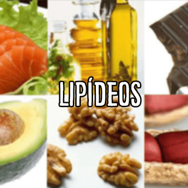 Exemplos De Lipidios Em Alimentos ÁCIDOS GRAXOS (LIPÍDIOS) | Resumo