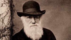 Darwin