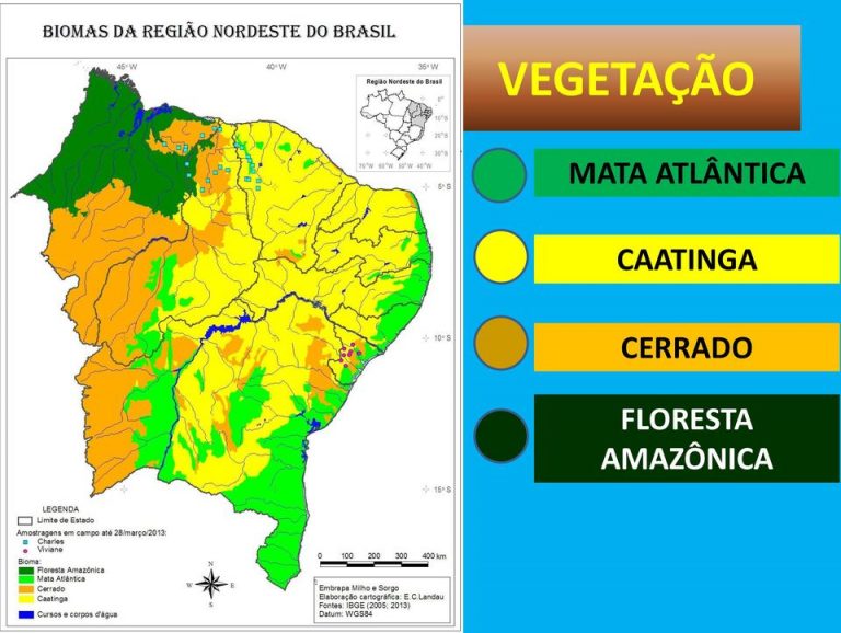 Climas do Nordeste do Brasil - Características e Tipos de vegetação