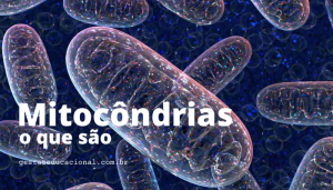 Mitocôndrias o que são?