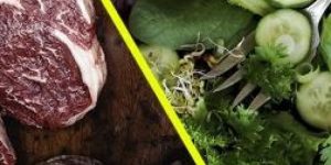 cropped-dieta-vegana-x-onivora-1614866192203_v2_450x337.jpg