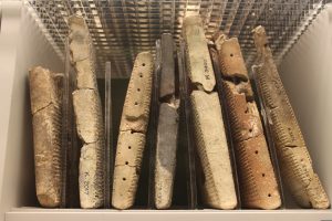 Código de Hamurábi - Conheça o primeiro código de leis da história (IMagem: Mariusz Matuszewski/Pixabay)