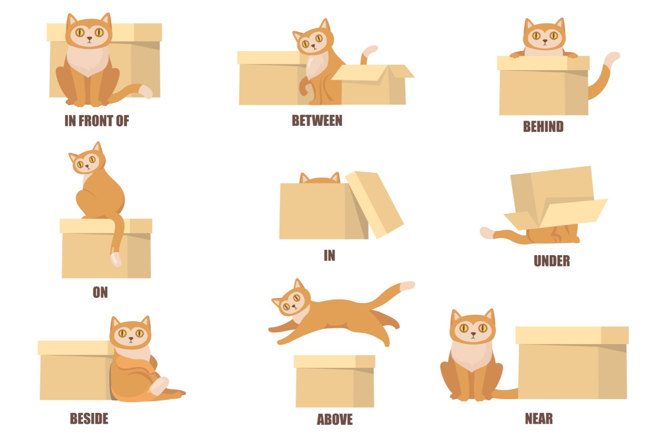 Prepositions of Place - Quais são e quando usar cada uma delas! (Imagem: Pch.Vector/FreePik.com)