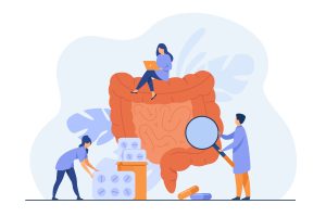 Quais os órgãos que compõem o Sistema Digestório (Imagem: Pch.Vector/FreePik.com0