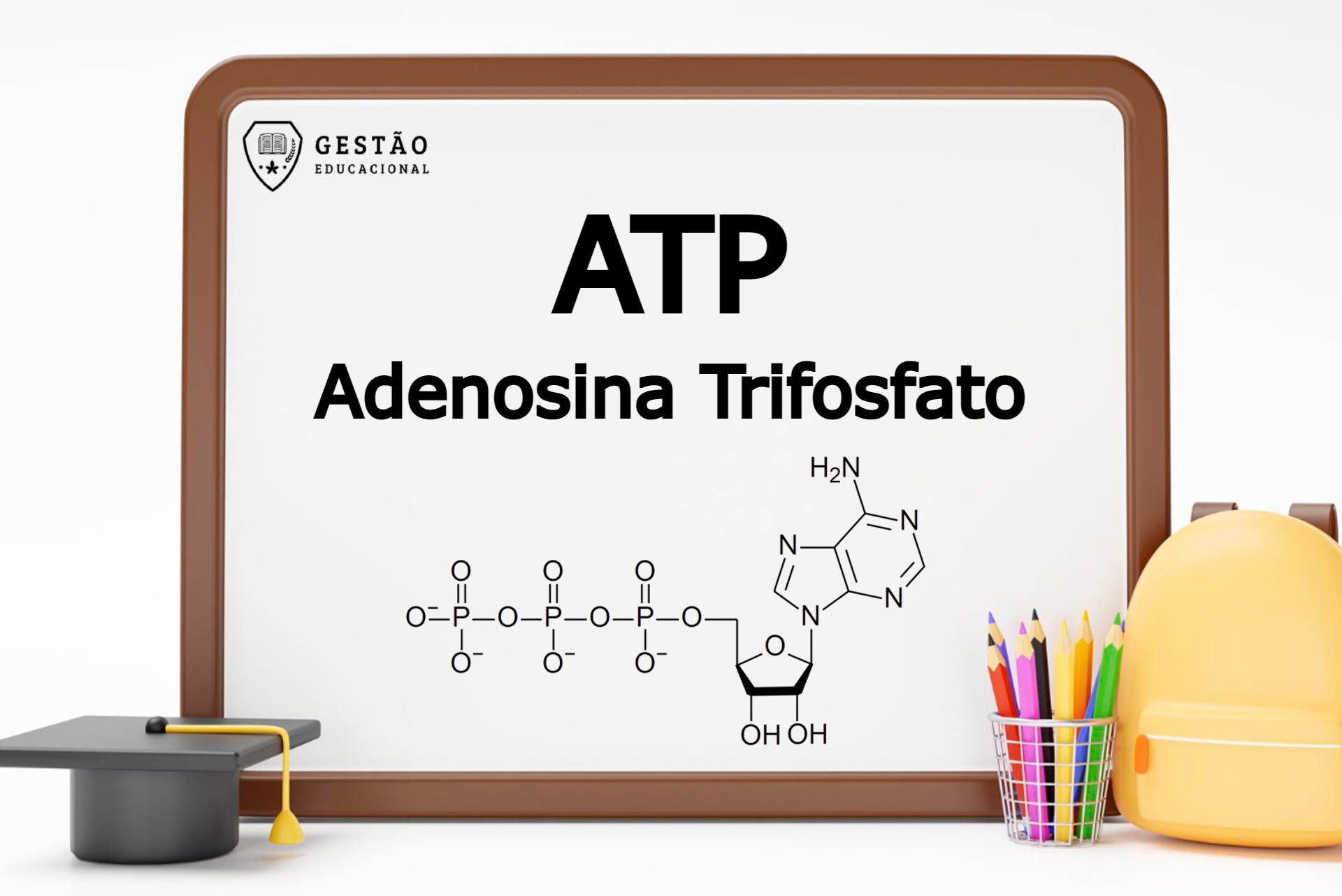 ATP (Adenosina Trifosfato) - O que é? Qual sua função? (Imagem: Gestão Educacional - Mamewmy - FreePik.com)