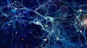 Células da Glia - O que são, função e mais! (Imagem: Reprodução/iStock)