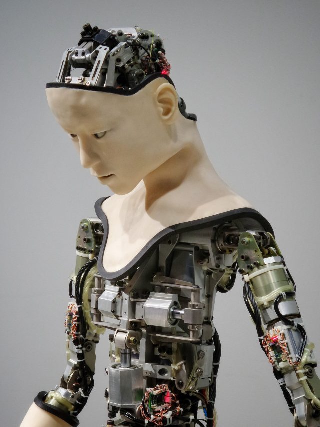 Profissões blindadas contra Inteligência Artificial